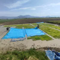 فروش زمین کشاورزی شش هکتار زمین بیضا|فروش زمین و ملک کلنگی|بیضا, |دیوار