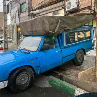 راننده بهمراه نیسان ( پخش مواد غذایی)