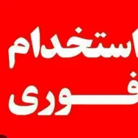 استخدام کارگر همکار نجارسی ان سی کار وکیوم رو کوب
