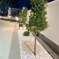 طراحی و اجرا دیوار گابیون و سنگ قلوه|مصالح و تجهیزات ساختمان|اهواز, کیانپارس |دیوار