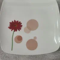 سرویس چینی در حد|ظروف سرو و پذیرایی|پاکدشت, پاکدشت (مامازند)|دیوار