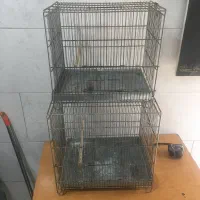 قفس سهره .سهره قناری .قفس جوجه پران