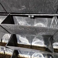 گرینوال طبیعی بهمراه تاسیسات|خدمات باغبانی و درختکاری|تهران, قیطریه|دیوار