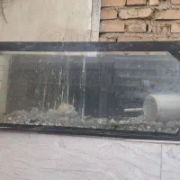 اکواریم سالم با شن های داخلش