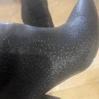 بوت|کیف، کفش، کمربند|اردبیل, |دیوار