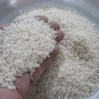 برنج نیم دانه برنجم دارم|خوردنی و آشامیدنی|اسلامشهر, شهرک واوان|دیوار