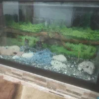 آکواریوم 120×30