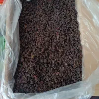 کشمش|خوردنی و آشامیدنی|اصفهان, محمودآباد|دیوار
