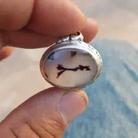 انگشتر شجر مصور      محمد