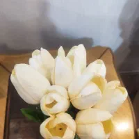 گل عروس و گل ربانی قرمز|گل مصنوعی|مشهد, ایثارگران|دیوار