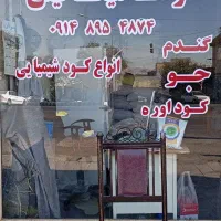شبرنگ نویسی مهدی|خدمات پیشه و مهارت|میانه, |دیوار