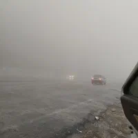 استخدام همکار خانم