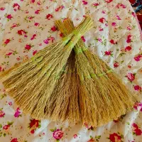 جارو کوچیک فقط ۵۰ تومن