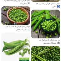 زمین کشاورزی اجاره