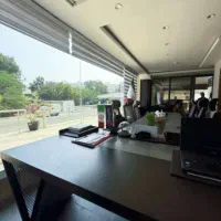 استخدام وکیل پایه یک خانم