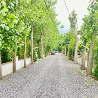 زمین قابل ساخت باپروانه (شهرکی) سندتکبرگ