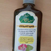 شامپو