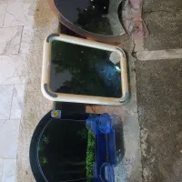 سه عدد آینه دستشویی حمام