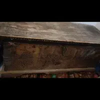 صندوقچه چوبی عتیقه