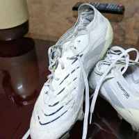 کفش فوتبال پردیتور|کیف، کفش، کمربند|مشهد, شهید رضوی|دیوار