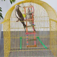 دوعدد عروس هلندی با قفس|پرنده|اهر, |دیوار