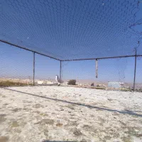 کفتر|پرنده|شیراز, شهرک گلستان|دیوار