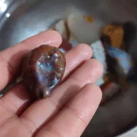 سنگ|کلکسیون اشیاء عتیقه|بم, |دیوار