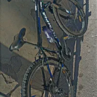 دوچرخه المپیا سایز 26|دوچرخه، اسکیت، اسکوتر|مراغه, |دیوار