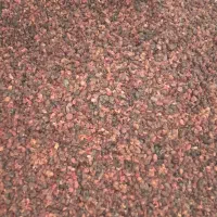 ذغال اخته بدون هسته درجه 1