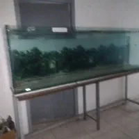 اکواریوم سایز بزرگ ۲.۵طول ارتفاع ۸۰