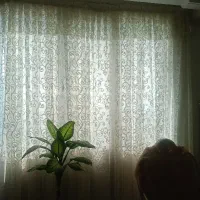 پرده تمیز