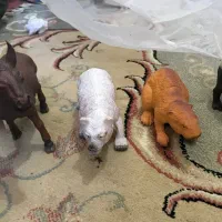 فیگور|کلکسیون و سرگرمی|تهران, وحیدیه|دیوار