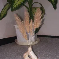 گل و گلدان تزئینی|گل مصنوعی|مریوان, |دیوار