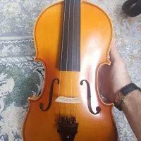 ویولن|ویولن|سنندج, |دیوار