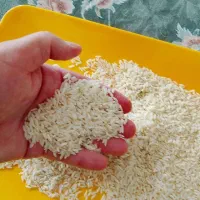 برنج|خوردنی و آشامیدنی|کرج, کوی کارمندان جنوبی|دیوار