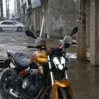 بنلی300 طلای