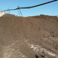 تفاله چغندر پرسی (دونم) وخشک|لوازم جانبی حیوانات|شیروان (خراسان), |دیوار