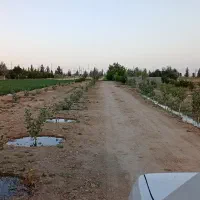 زمین کشاورزی