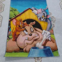 فرش تمیزونو