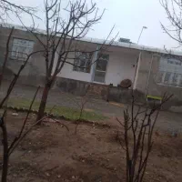 ویلا-باسند-تک-برگ