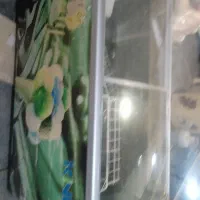 یخچال بستنی