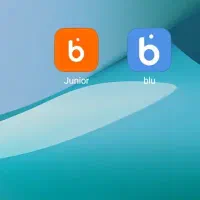 هدیه ارزش مند