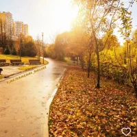 تدریس خصوصی وگروهی زبان انگلیسی توسط دکترای زبان