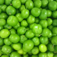 حق العمل کاری