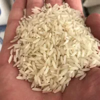 فروش برنج کشت دوم فریدونکنار سوپر ویژه ضمانتی|خوردنی و آشامیدنی|بجنورد, |دیوار