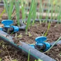 آبیاری قطره ایی تحت فشار