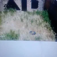 خانه-نیمساز