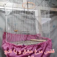 قفس پرنده|لوازم جانبی حیوانات|ری, حمزهآباد|دیوار