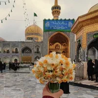 تور مشهد ریلی