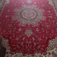 فرش فروشی|فرش|رشت, جانبازان|دیوار